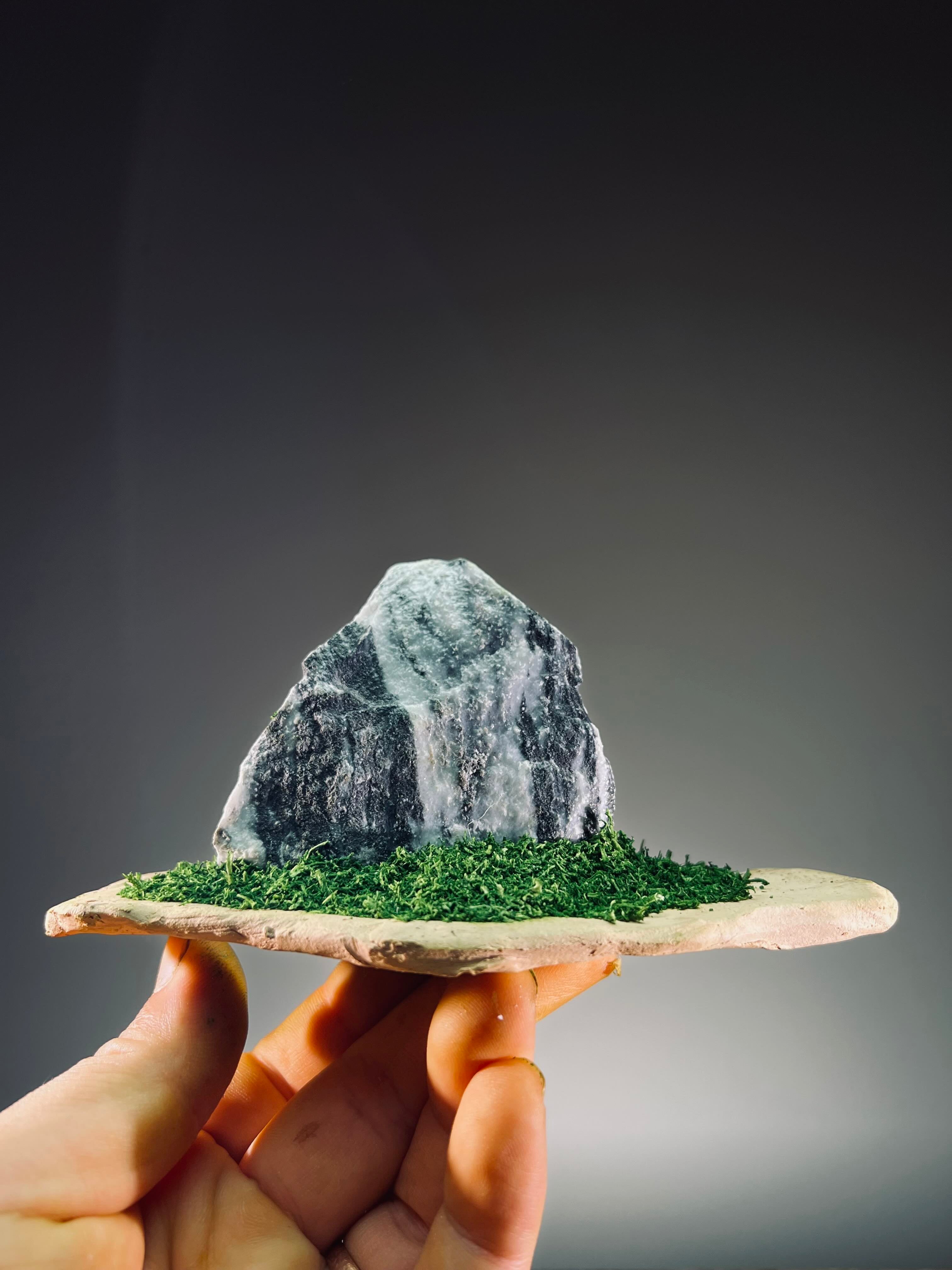 Slow Stone - Freshman (Preserved Plants)