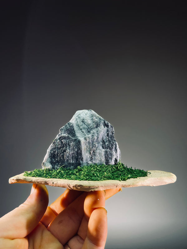 Slow Stone - Freshman (Preserved Plants)