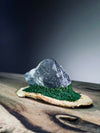 Slow Stone - Freshman - Smaller (Preserved Plants)