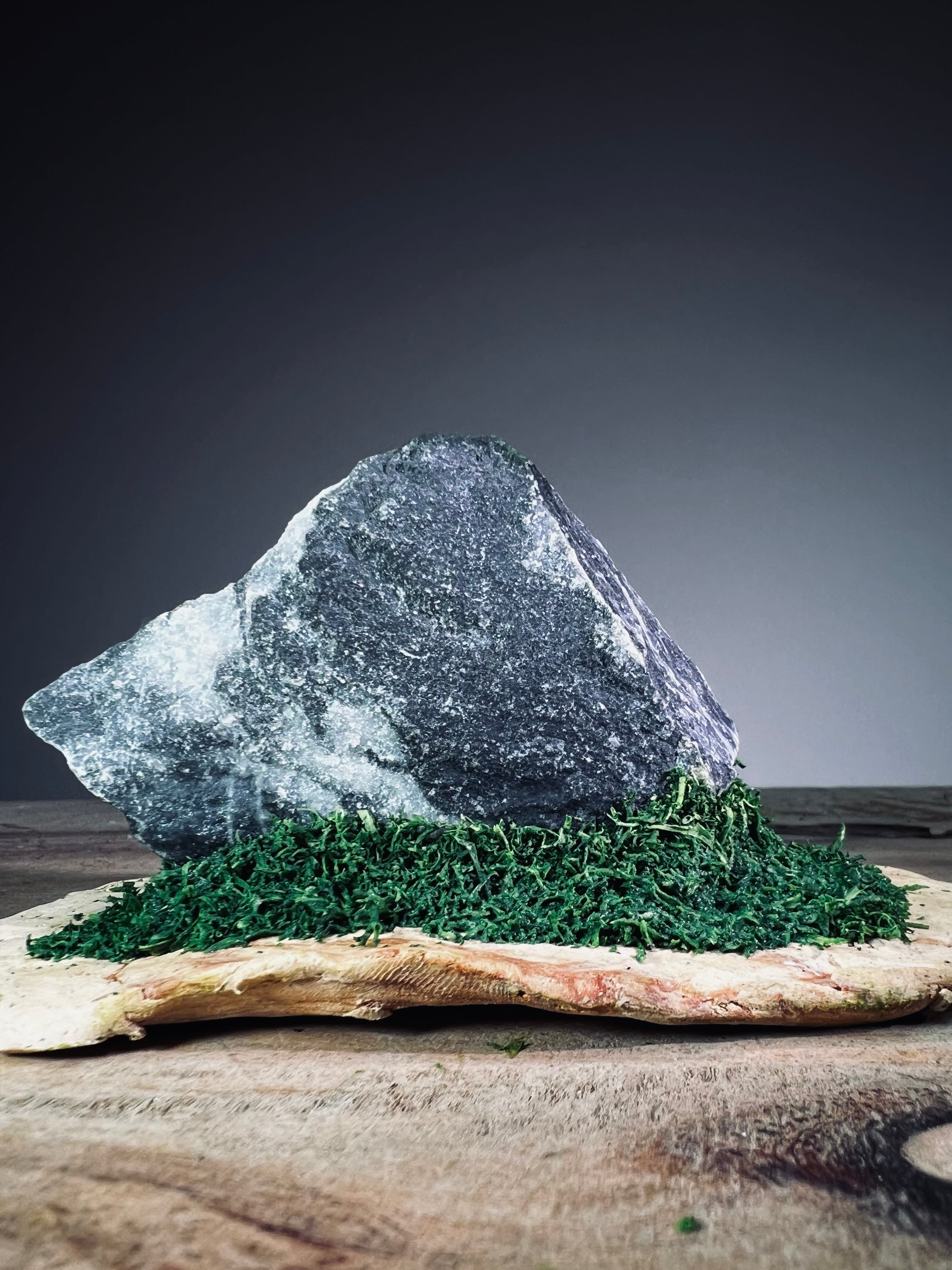 Slow Stone - Freshman - Smaller (Preserved Plants)