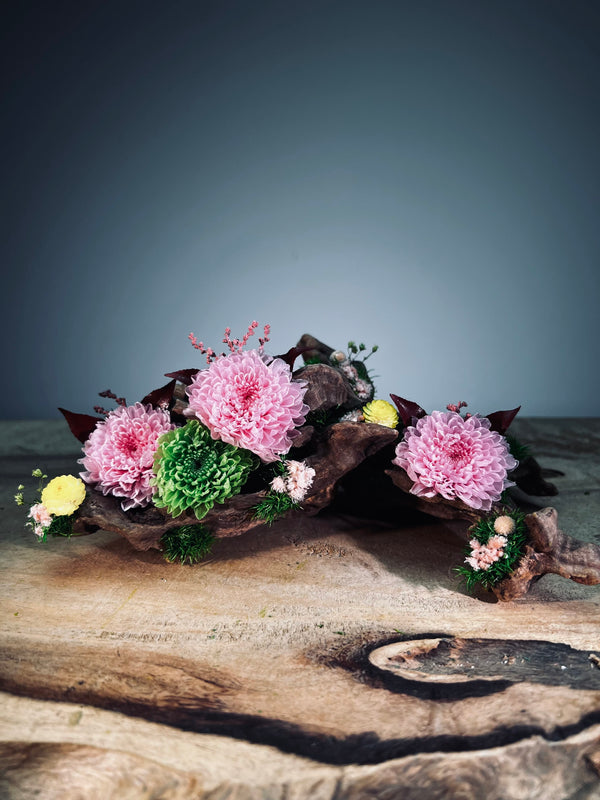 Children of the Forest - Driftwood (Preserved Plants)