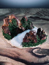 Angel's Landing - Valley of Winter - Smaller version (Preserved Plants)