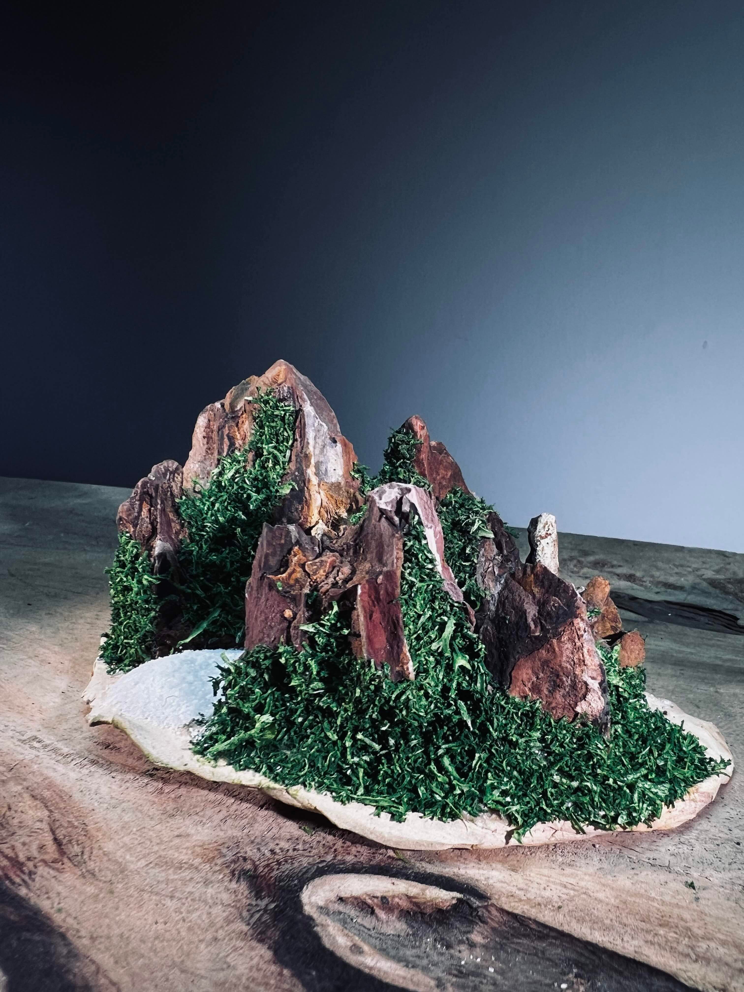Angel's Landing - Valley of Winter - Smaller version (Preserved Plants)