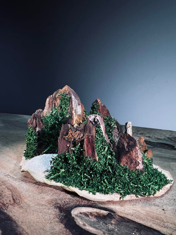 Angel's Landing - Valley of Winter - Smaller version (Preserved Plants)