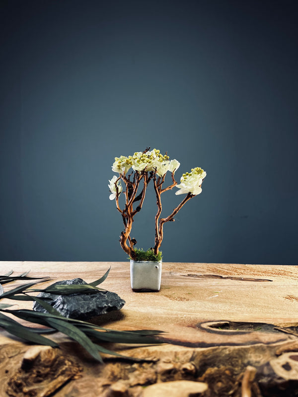 A Small Tree in the East - West Wind Moves (Preserved Plants)