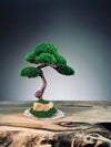 Light in the Garden - Rosewood (Preserved Plants)