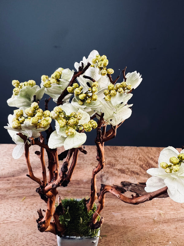 A Small Tree in the East - West Wind Moves (Preserved Plants)