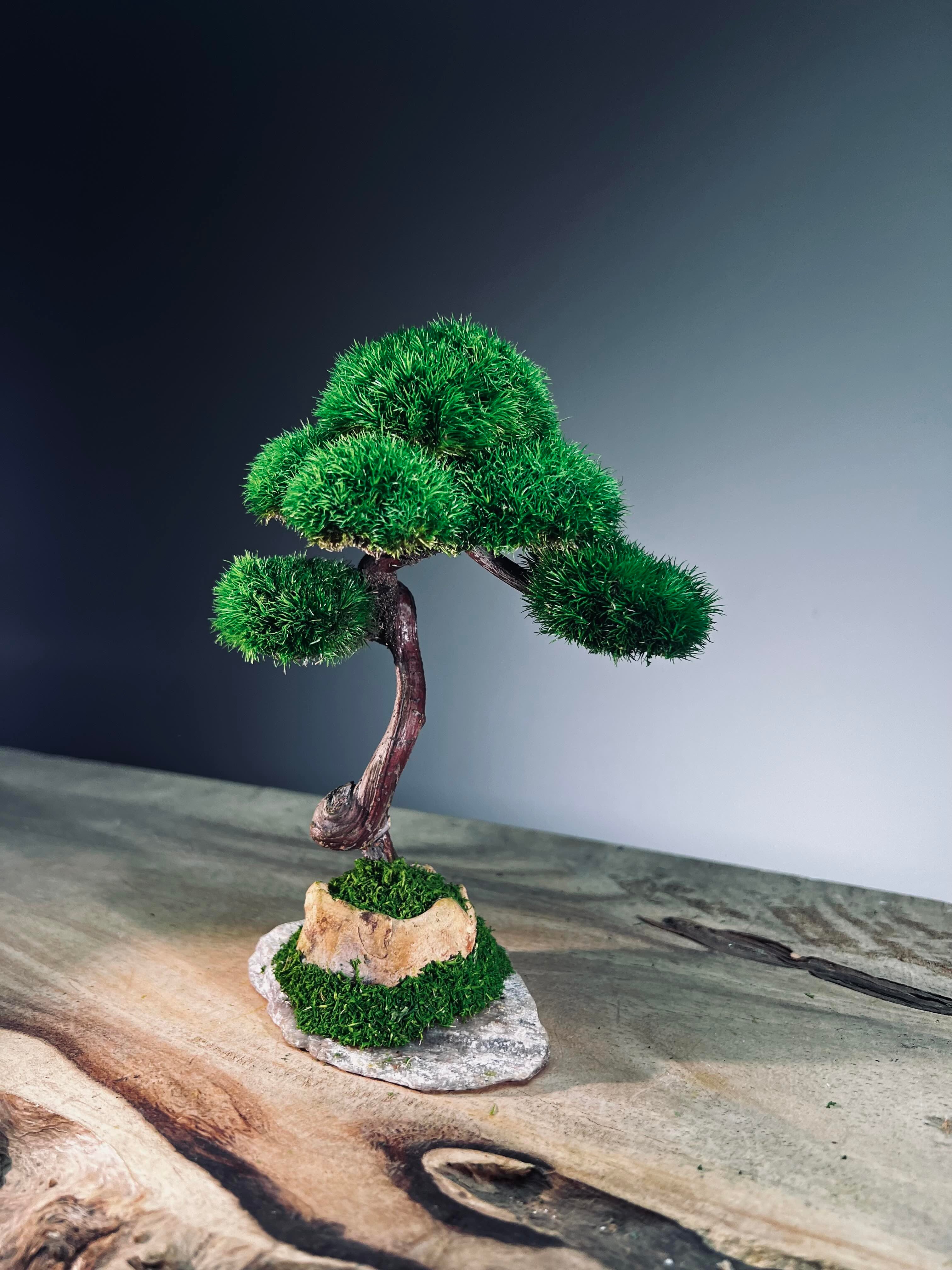 Light in the Garden - Rosewood (Preserved Plants)