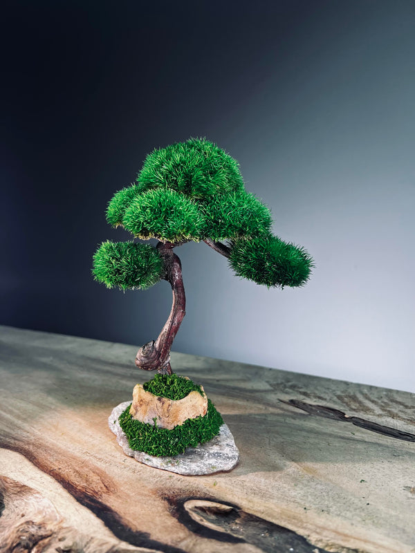 Light in the Garden - Rosewood (Preserved Plants)