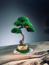 Light in the Garden - Rosewood (Preserved Plants)