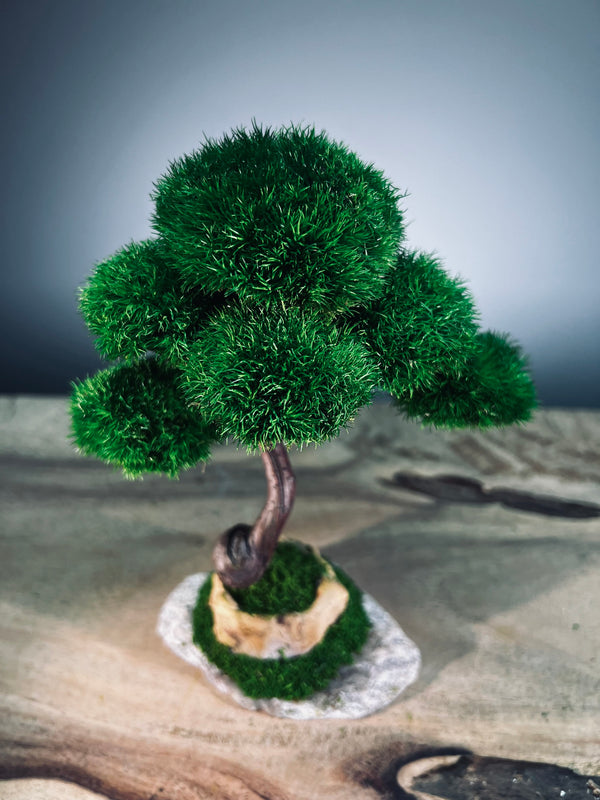 Light in the Garden - Rosewood (Preserved Plants)