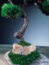 Light in the Garden - Rosewood (Preserved Plants)