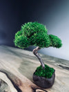 A Small Tree in the East - Classics - Rosewood edition (Preserved Plants)