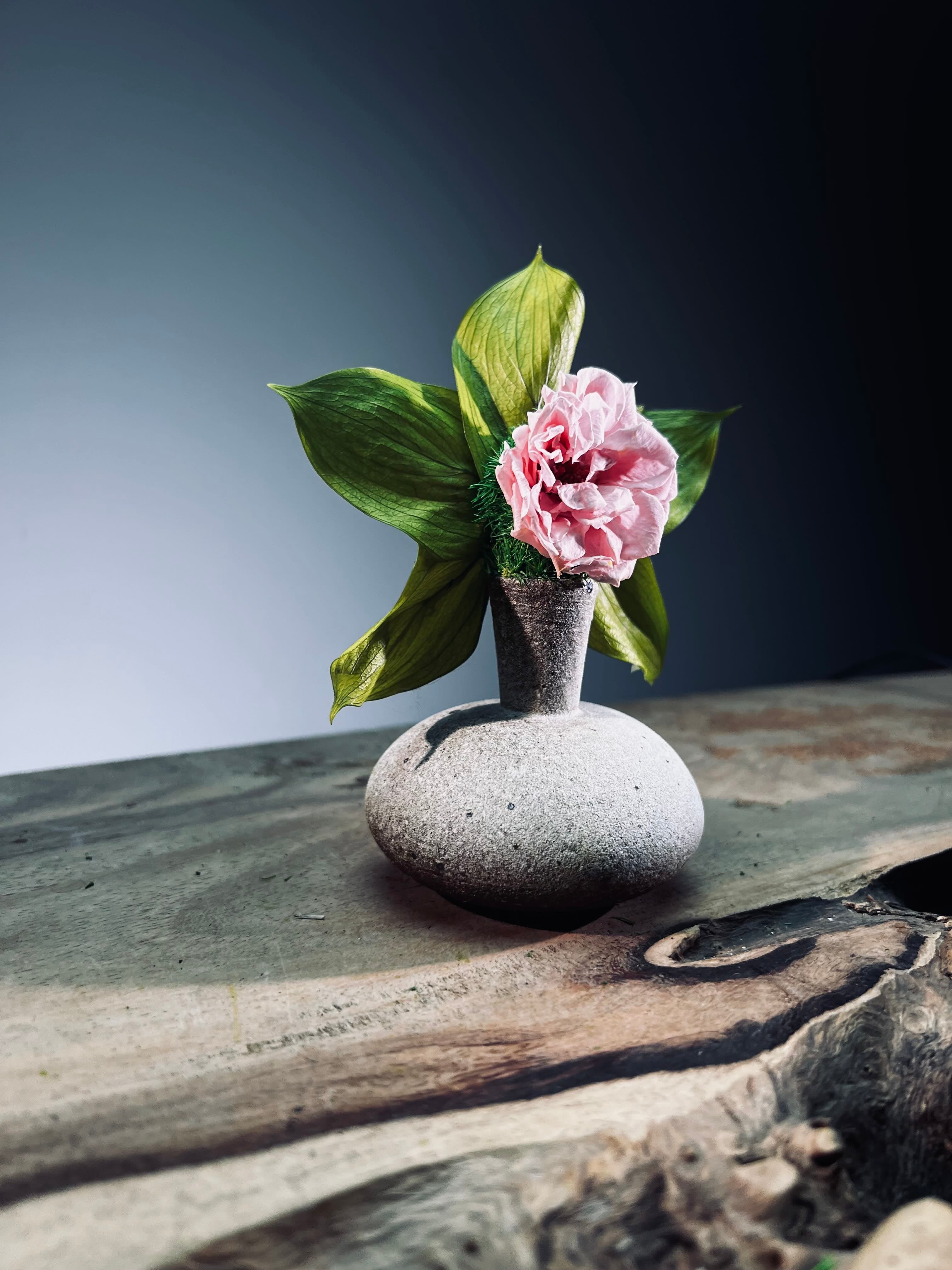 Children of the Forest - Charm (Preserved Plants)