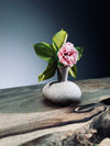Children of the Forest - Charm (Preserved Plants)