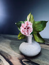 Children of the Forest - Charm (Preserved Plants)