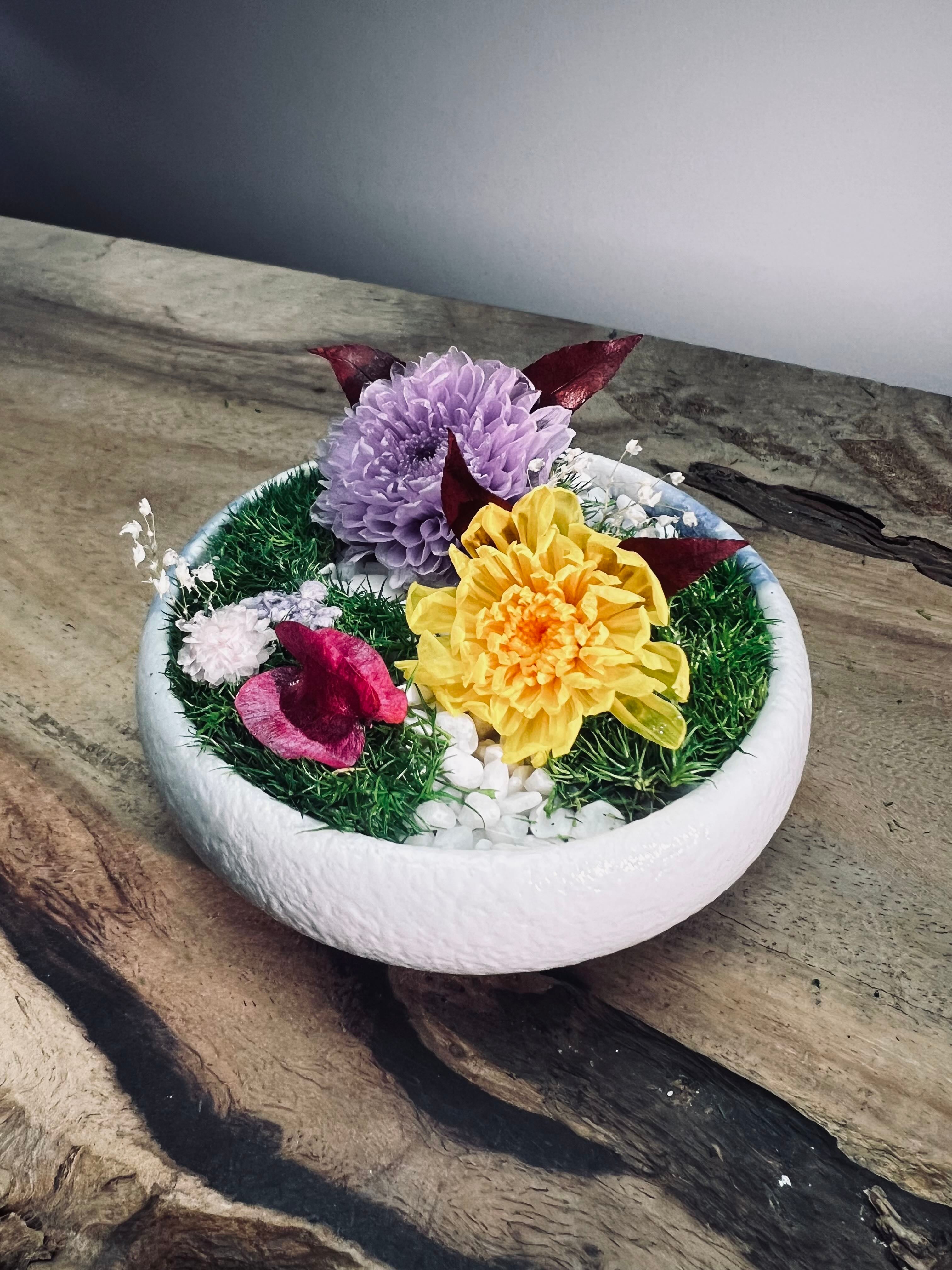 Children of the Forest - Tender (Preserved Plants)