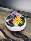 Children of the Forest - Tender (Preserved Plants)