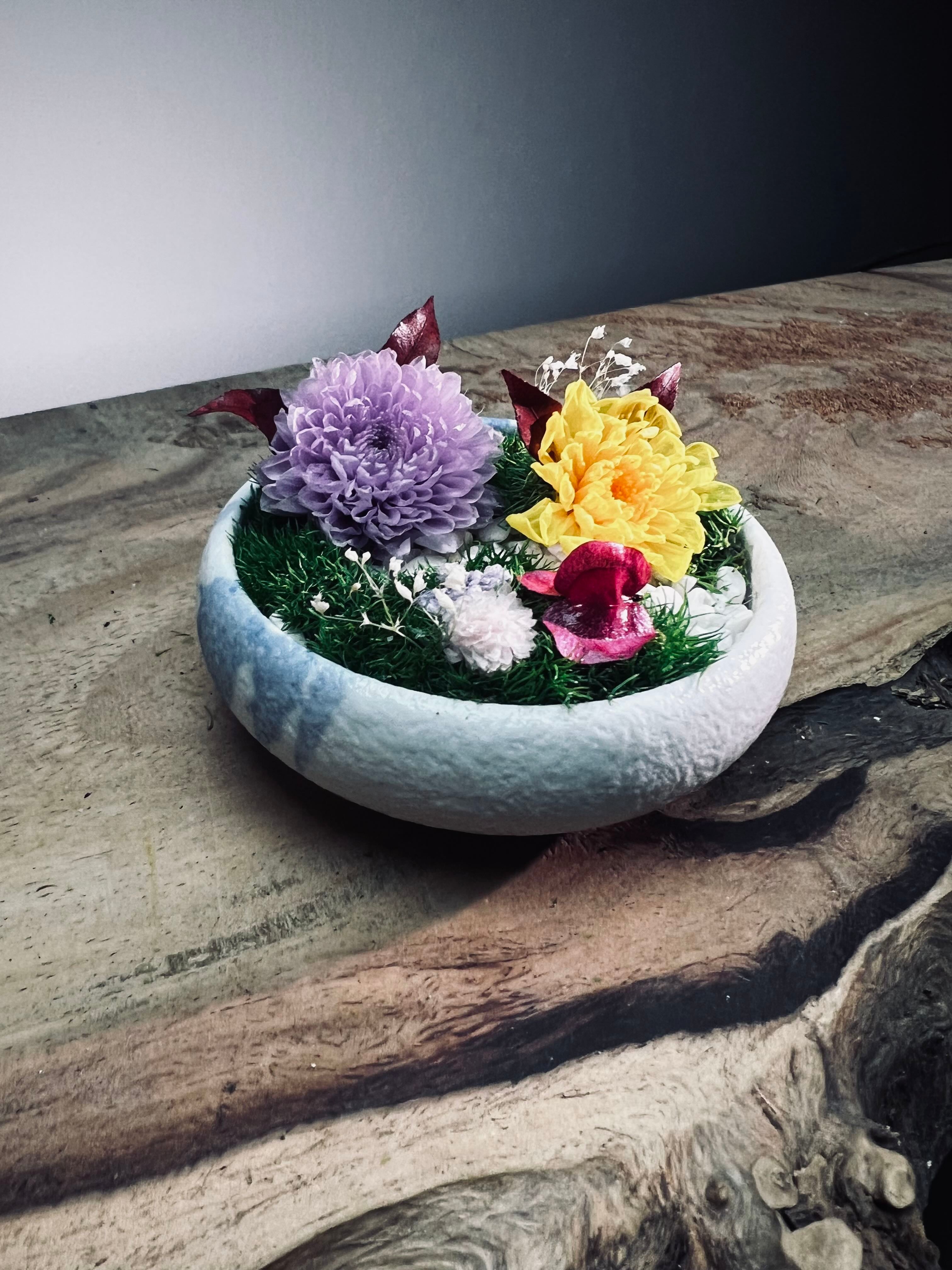 Children of the Forest - Tender (Preserved Plants)