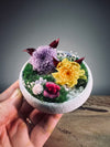 Children of the Forest - Tender (Preserved Plants)