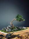 Juniper by the Winding Path - Blackstone edition (Preserved Plants)