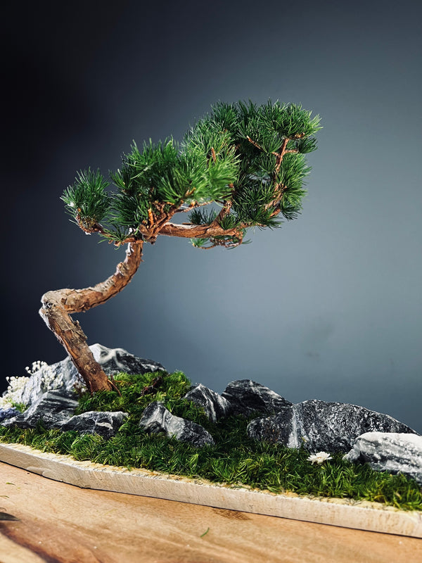 Juniper by the Winding Path - Blackstone edition (Preserved Plants)