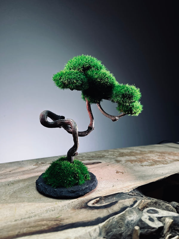 Rosewood - Poet (Preserved Plants)