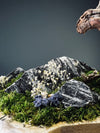Juniper by the Winding Path - Blackstone edition (Preserved Plants)