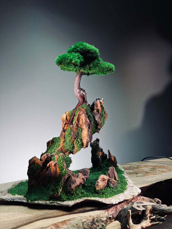 Angel's Landing - Rosewood (Preserved Plants)