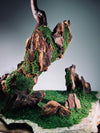 Angel's Landing - Rosewood (Preserved Plants)