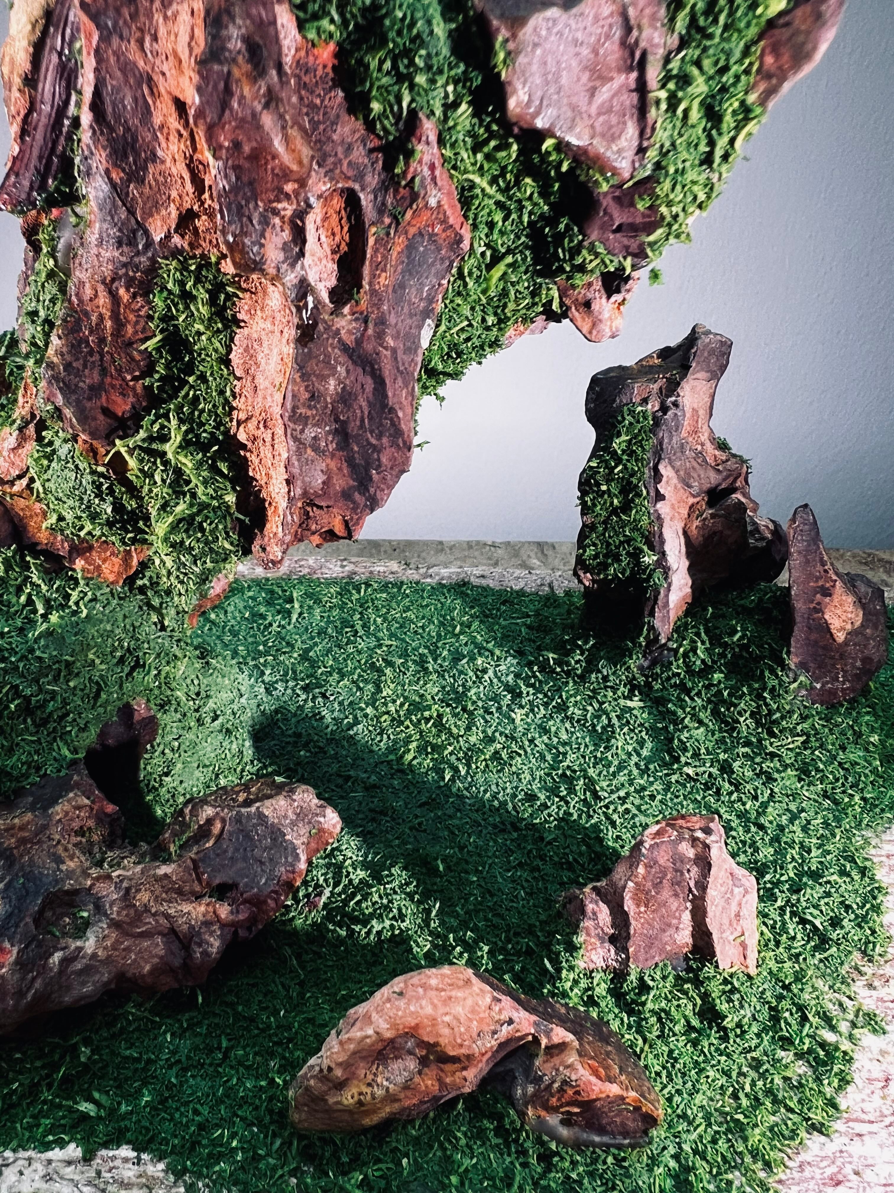 Angel's Landing - Rosewood (Preserved Plants)