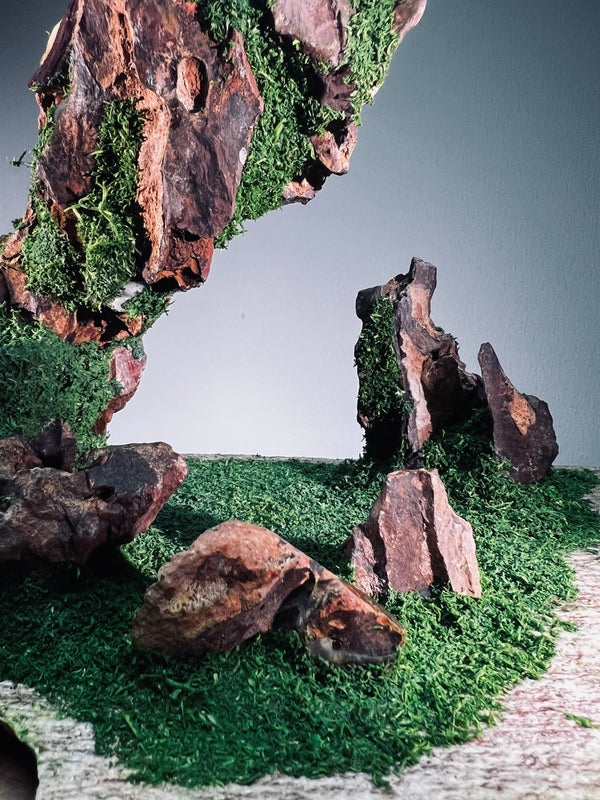 Angel's Landing - Rosewood (Preserved Plants)