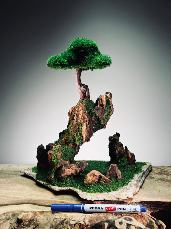 Angel's Landing - Rosewood (Preserved Plants)