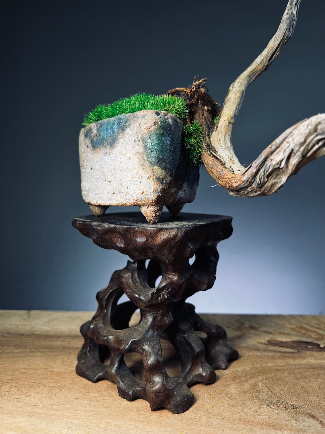 Juniper by the Winding Path - Pride (Preserved Plants)