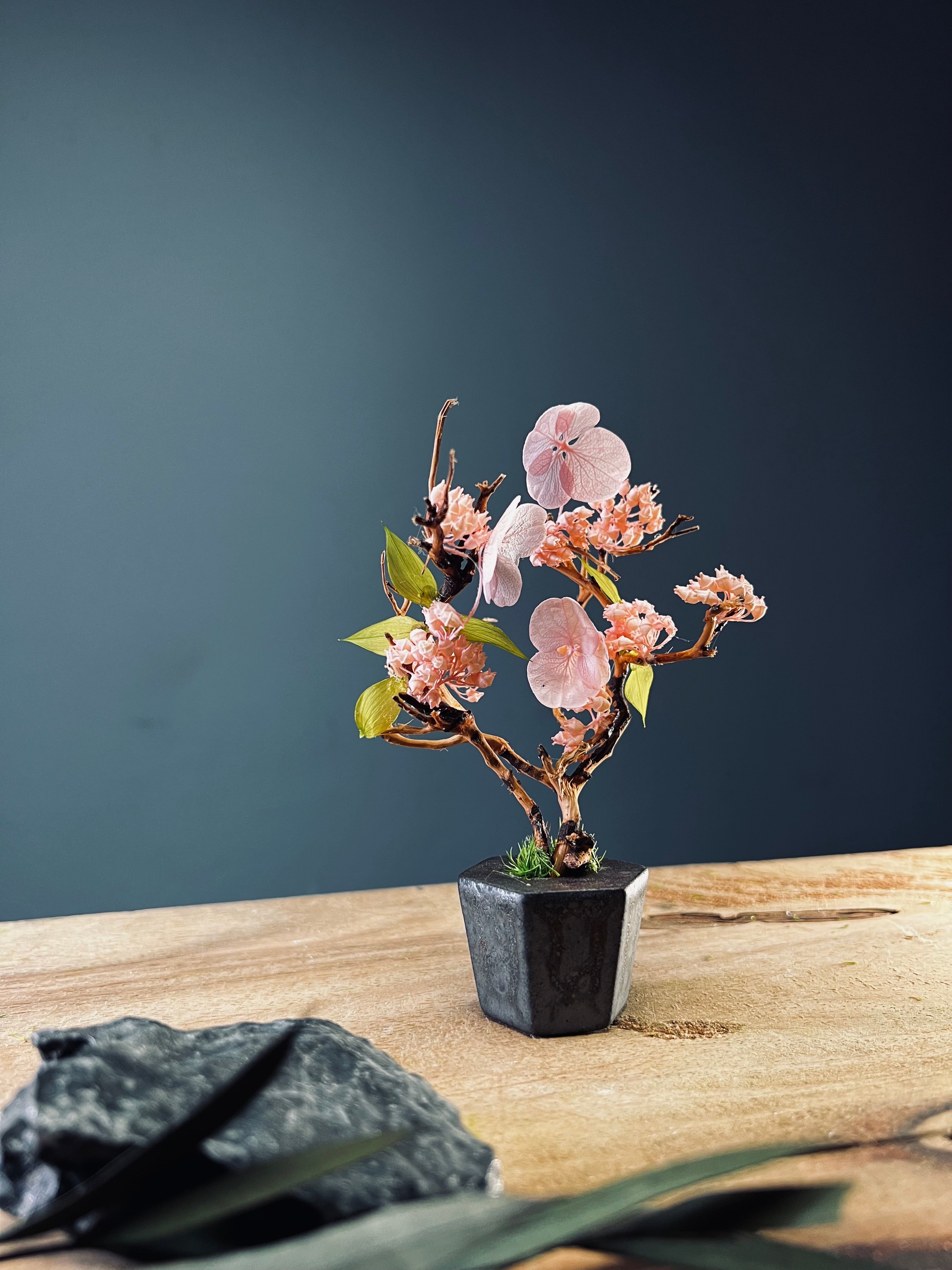 A Small Tree in the East - Cherry in Wait - Cast Iron edition (Preserved Plants)