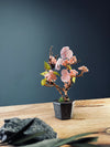 A Small Tree in the East - Cherry in Wait - Cast Iron edition (Preserved Plants)