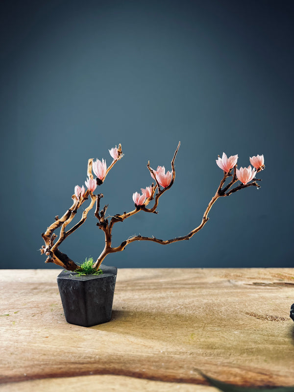 A Small Tree in the East - Blossom Mimosa (Preserved Plants)