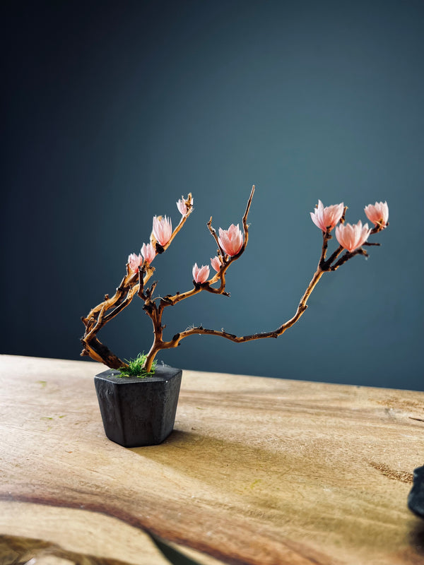 A Small Tree in the East - Blossom Mimosa (Preserved Plants)