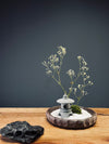Snowfall (Preserved Plants)