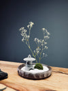 Snowfall (Preserved Plants)