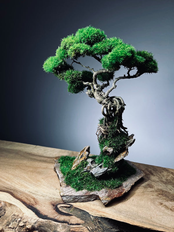 Rise - Stormy Hill edition (Preserved Plants)