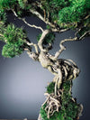 Rise - Stormy Hill edition (Preserved Plants)