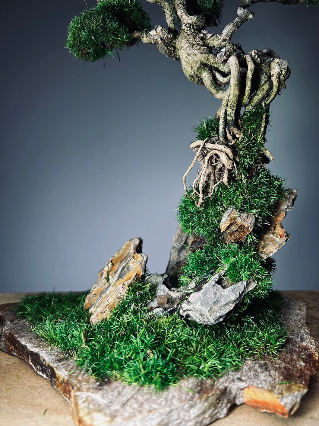 Rise - Stormy Hill edition (Preserved Plants)