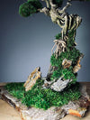 Rise - Stormy Hill edition (Preserved Plants)