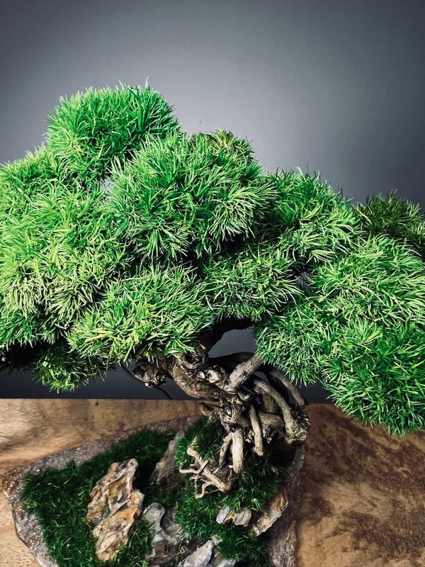 Rise - Stormy Hill edition (Preserved Plants)