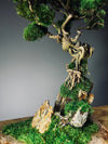 Rise - Stormy Hill edition (Preserved Plants)