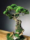 Rise - Stormy Hill edition (Preserved Plants)