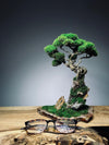 Rise - Stormy Hill edition (Preserved Plants)