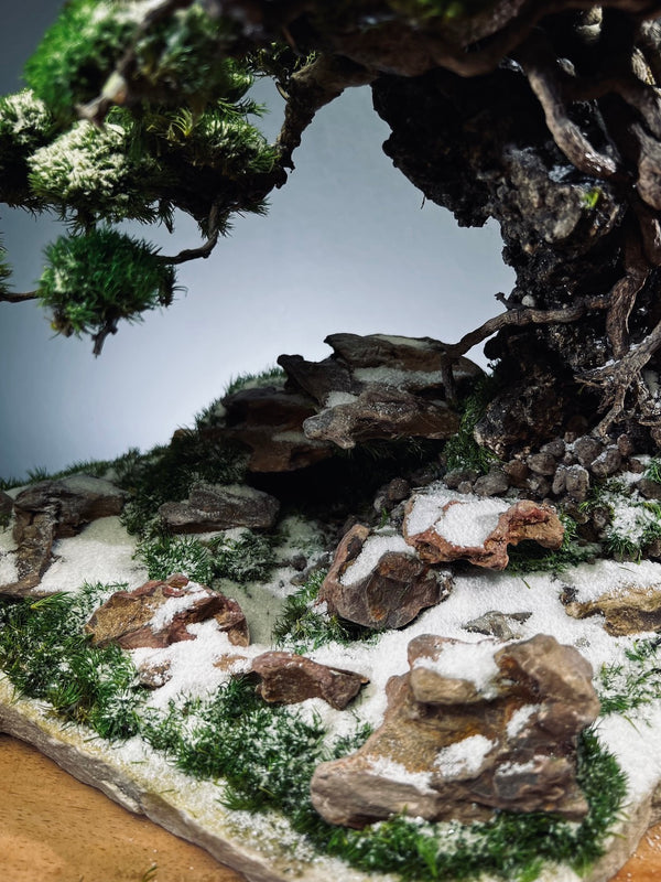 Rise - Snow Hill (Preserved Plants)