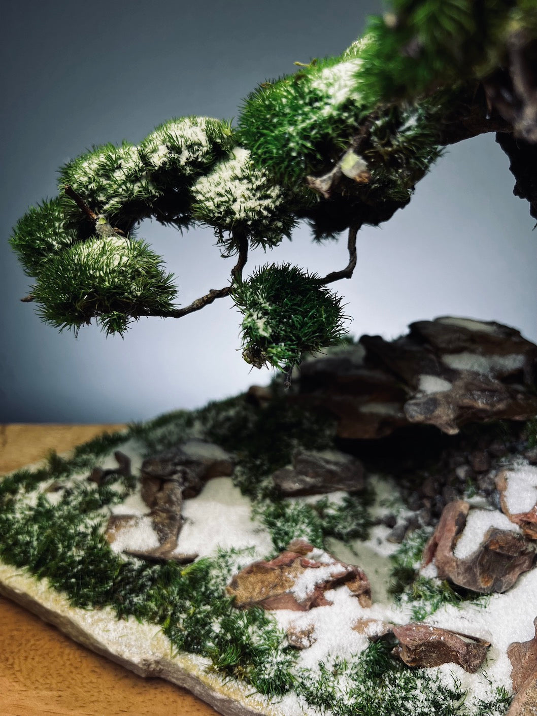 Rise - Snow Hill (Preserved Plants)